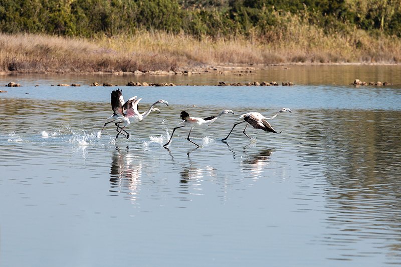 2_home_carousel_MM_20131028_Torre_Colimena_030