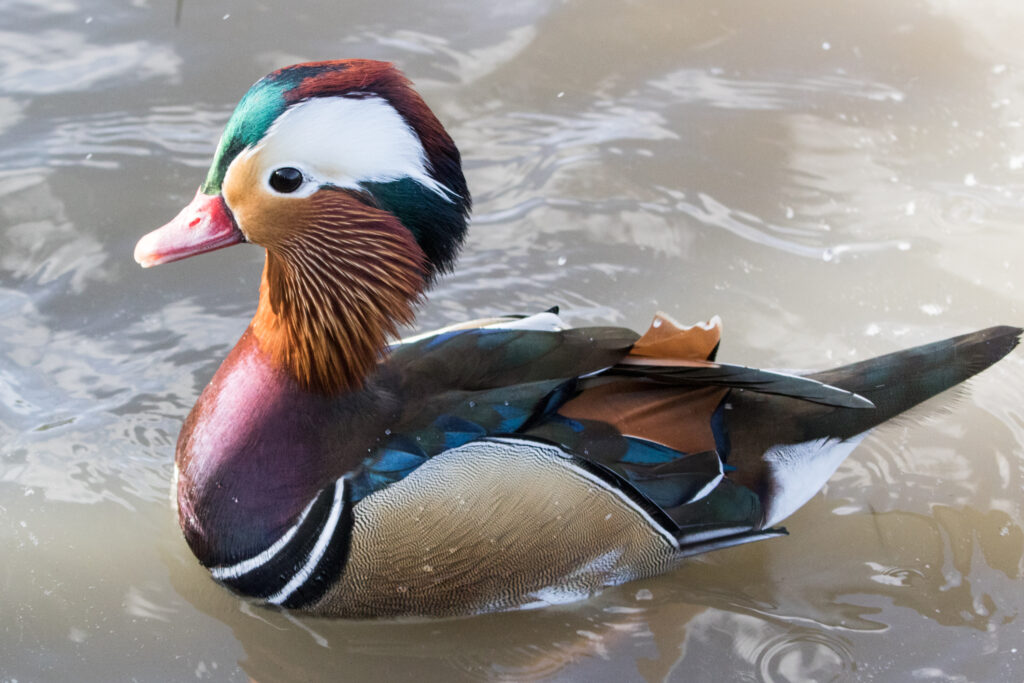 9_home_carousel_MM_20150927_Lesina_262-1024x683